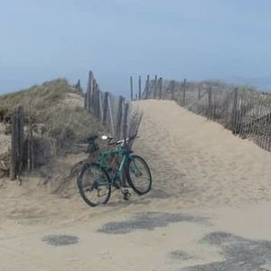 Meet your Posher, Sandy